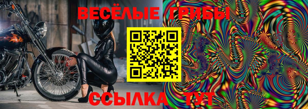 хочу   Вход с VPN  Тамбов  Галлюциногенные грибы Cubensis 